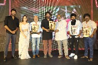 Naa Saami Ranga Movie Success Celebrations Photos